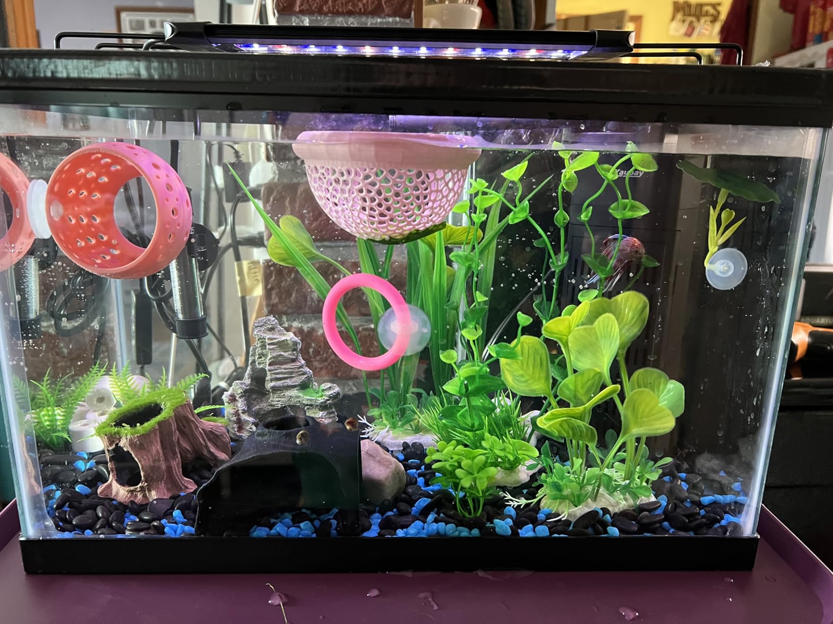 Pawfly 11W Aquarium LED Light for 12 to 18 Inch Fish Tanks Extendable Fish Tank Light with Full Spectrum Brilliant White Blue Red Lights with Daytime & Night Modes and Adjustable Brightness customer photo 1