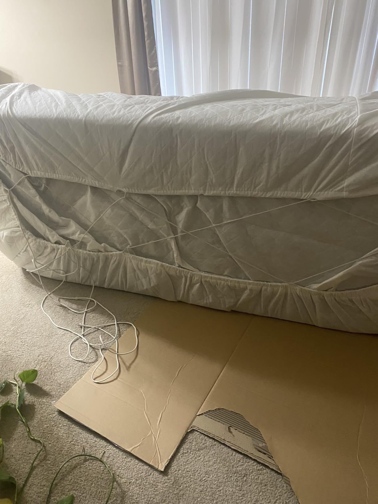 Acanva Mellow Modern Tight Curved Back Velvet Sofa, 3 Seater, Cream customer photo 1