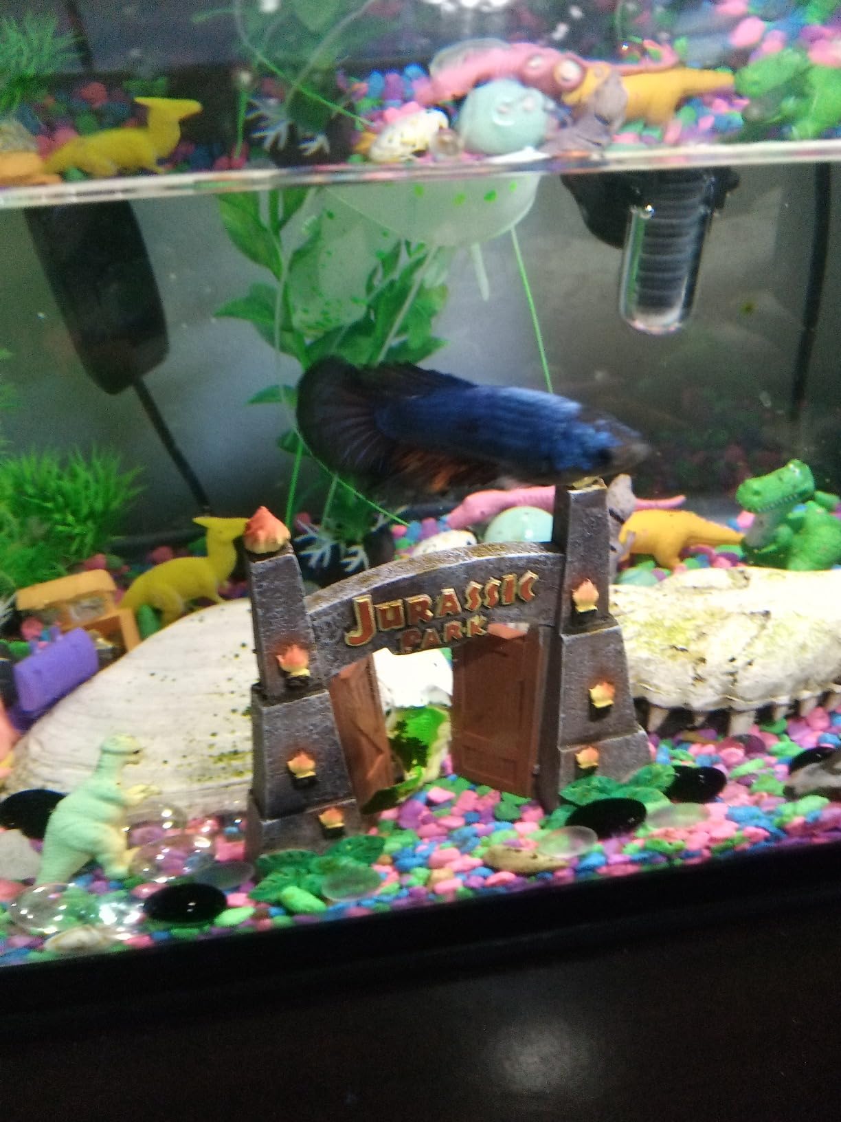 FREESEA Aquarium Fish Tank Heater: 25W Small Betta Turtle Heating customer photo 1