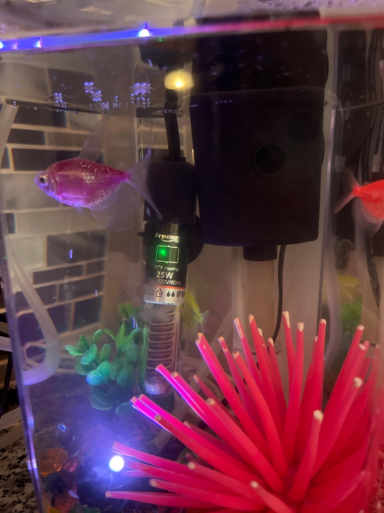 FREESEA Aquarium Fish Tank Heater: 25W Small Betta Turtle Heating customer photo 2