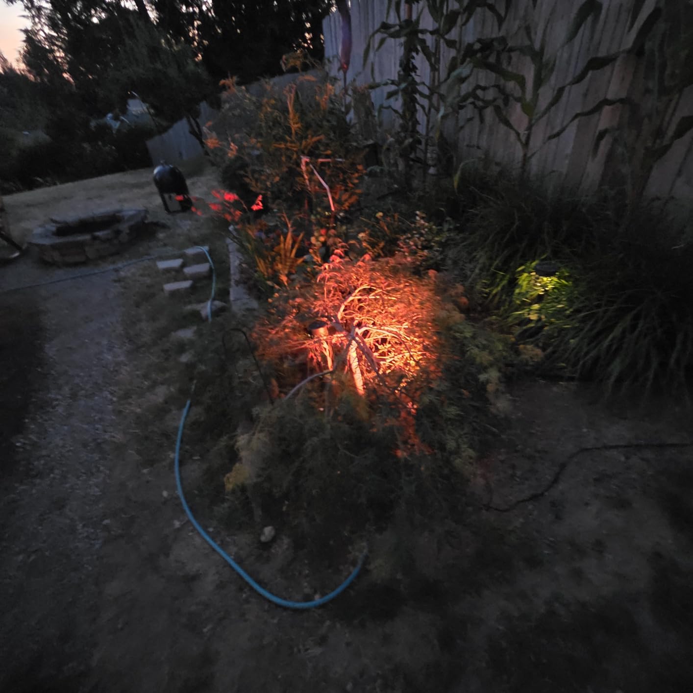 SUNVIE RGBW Landscape Lighting Kit with 300W Transformer, Waterproof, 12PCS customer photo 1