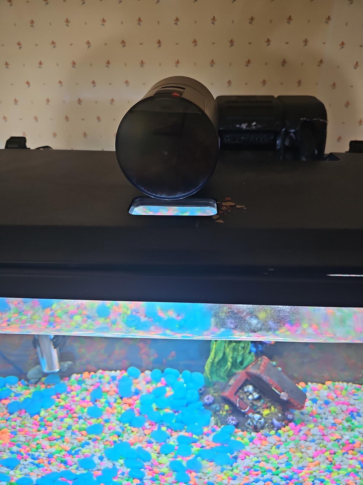 Automatic Fish Feeder for Aquarium Easy Setup & 12/24/48H Interval customer photo 2