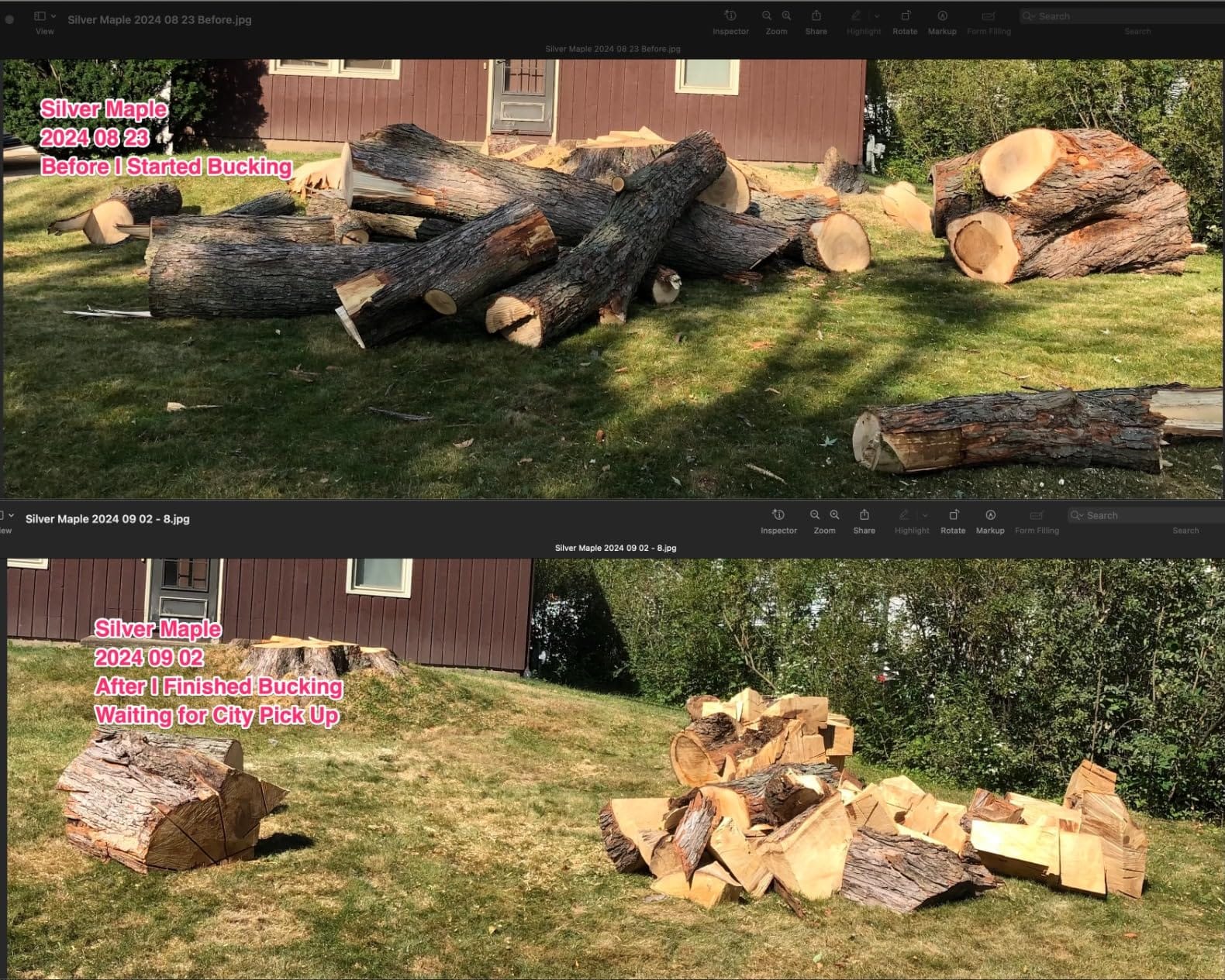 EGO POWER+ Chain Saw, 20” Battery Powered Chainsaw, Electric Cordless, Battery and Charger Not Included – CS2000 customer photo 2
