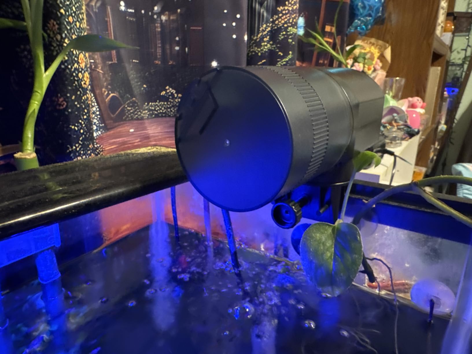 Automatic Fish Feeder Dispenser for Aquarium: 200ml Large Capacity Auto Feeders for Small Tank Turtle Betta Koi - Battery Food Feeding Timer for Flakes Pellet Vacation Weekend Day customer photo 2
