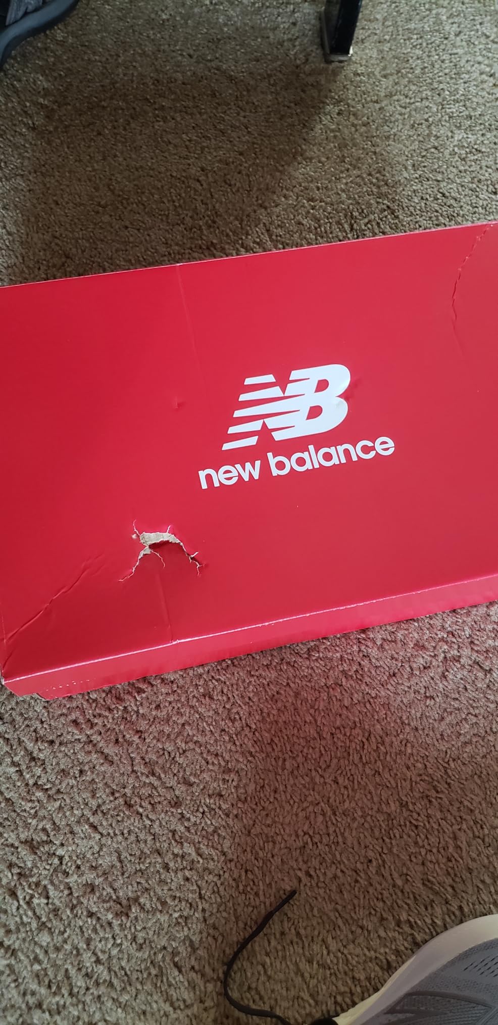 New Balance Men's Fresh Foam X 880 V15 customer photo 2