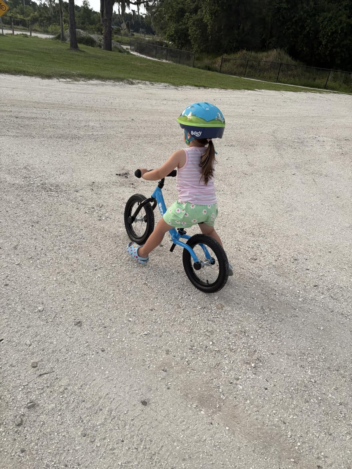 Bicystar 14 Inch Balance Bike for Kids 3-5 with Rubber Air Tires, Black | Lightweight Frame, Adjustable Seat & Handlebar, Easy Assembly, Footrest, No Pedals customer photo 1