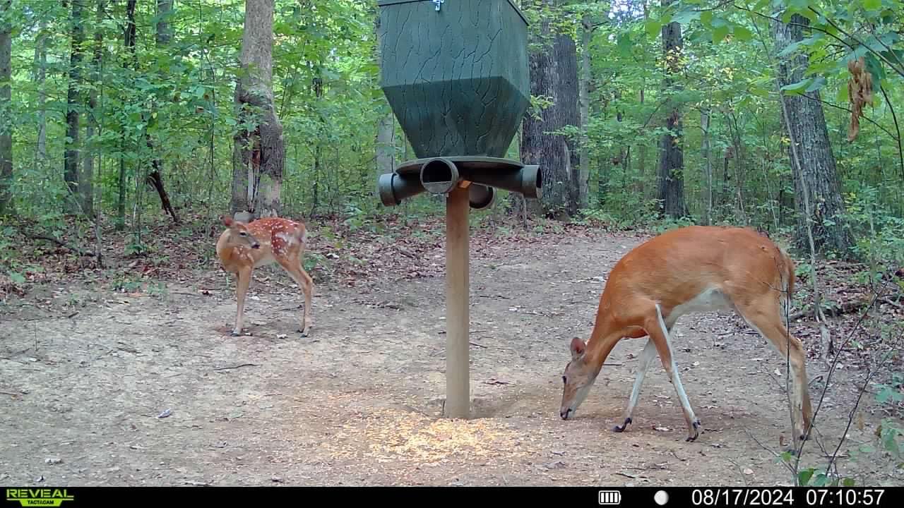 TACTACAM Reveal X Gen 3.0 Cellular Trail Camera - Multi Carrier, HD Photos & Videos, Pre-Installed Antenna, Built-in GPS, Best Battery Life, Low-Glow, Fast Trigger Speed + Cleaning Cloth | 2PK customer photo 2