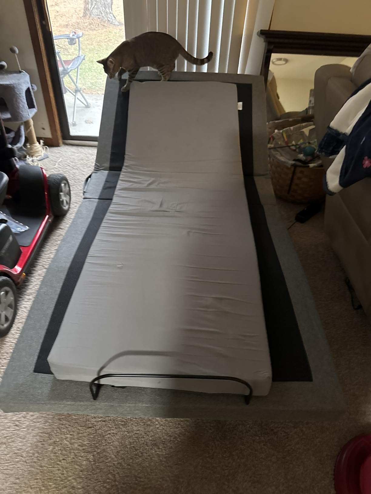 Best Choice Products Ergonomic Twin XL Size Adjustable Bed Frame, Electric Base w/Wireless Remote Control, Nightlight, Massager, 2 USB Ports customer photo 1