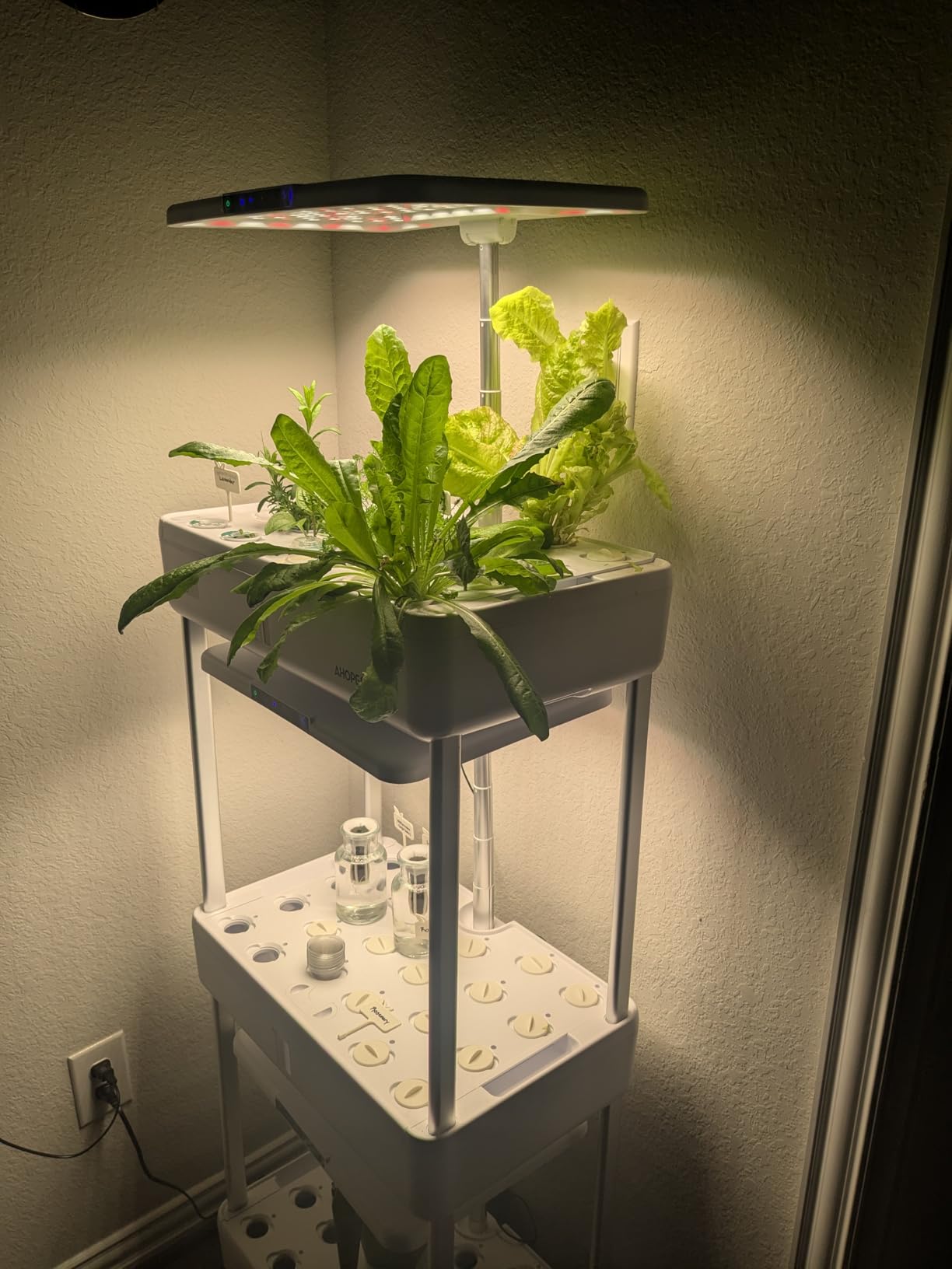 Ahopegarden Indoor Garden Hydroponics Growing System Kit: 66 Pods Plant Herb Garden Germination Kit with LED Grow Light, 30L Large Capacity Kitchen Hydroponics Planter Grower for Vegetable Fruit customer photo 1