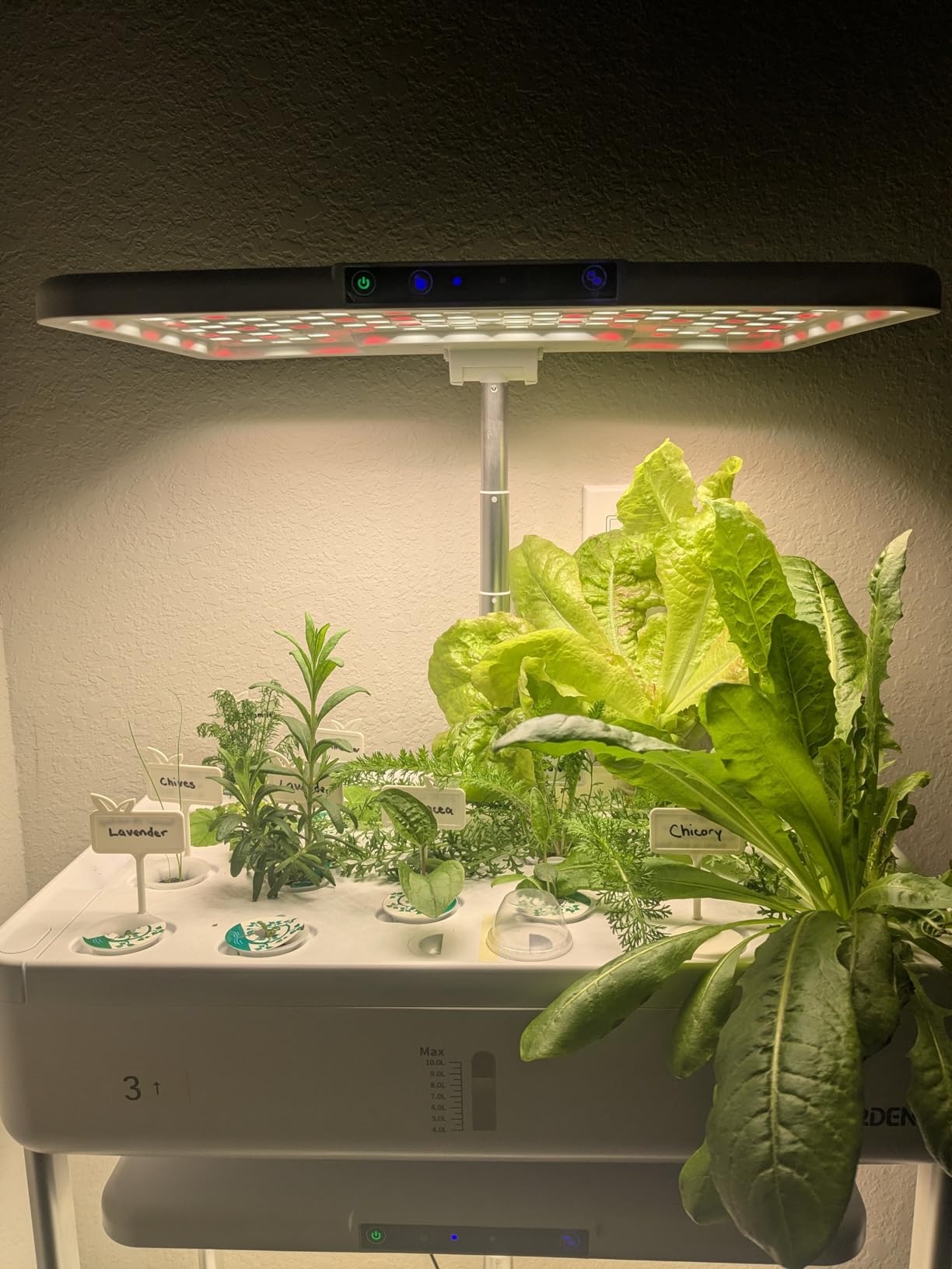 Ahopegarden Indoor Garden Hydroponics Growing System Kit: 66 Pods Plant Herb Garden Germination Kit with LED Grow Light, 30L Large Capacity Kitchen Hydroponics Planter Grower for Vegetable Fruit customer photo 2