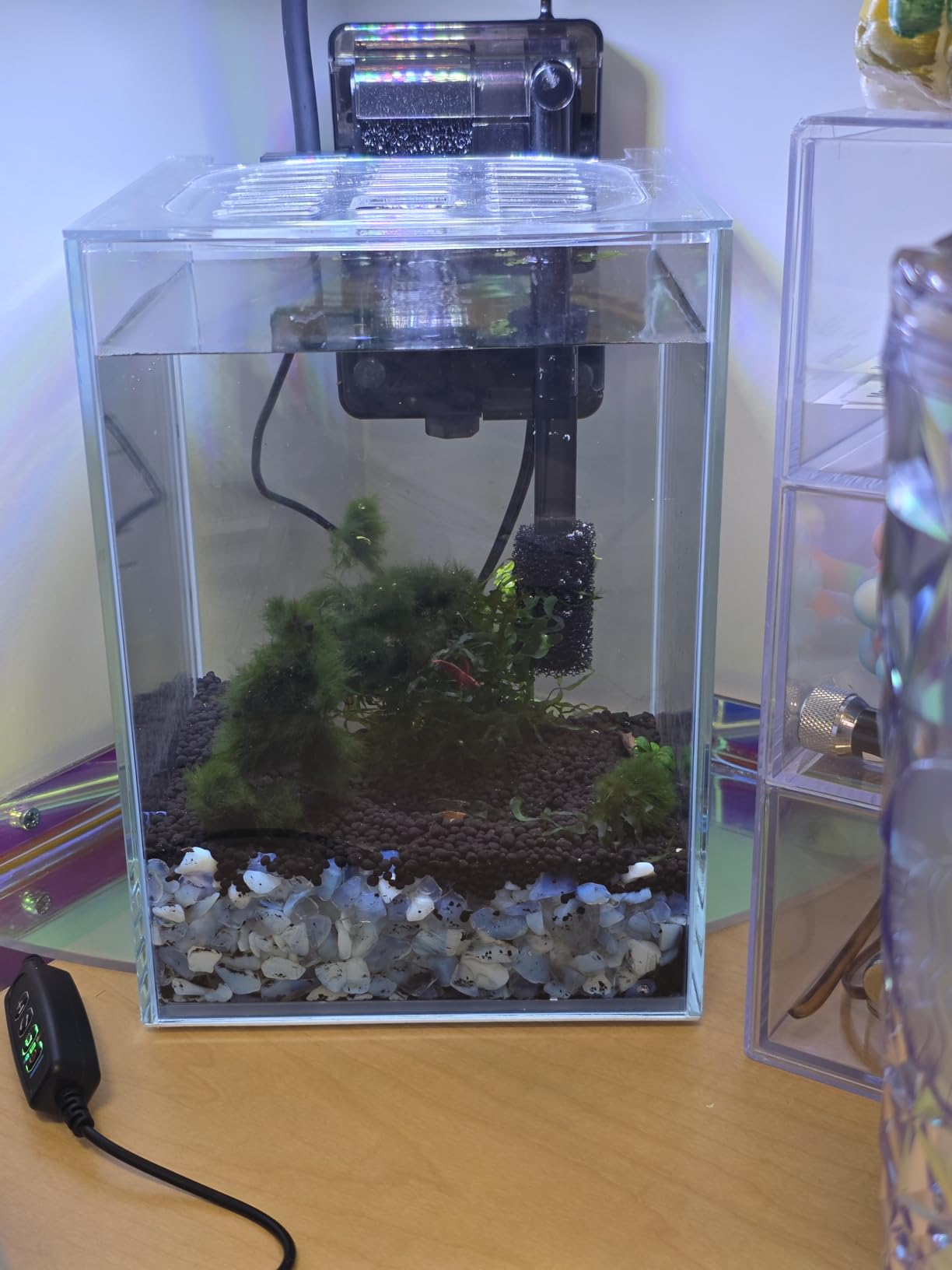 Glass Betta Aquarium Starter Kits 1.5 Gallon Small Fish Tank, Betta Fish Tank with LED Light, Power Filter, Black. 4mm Glass customer photo 2