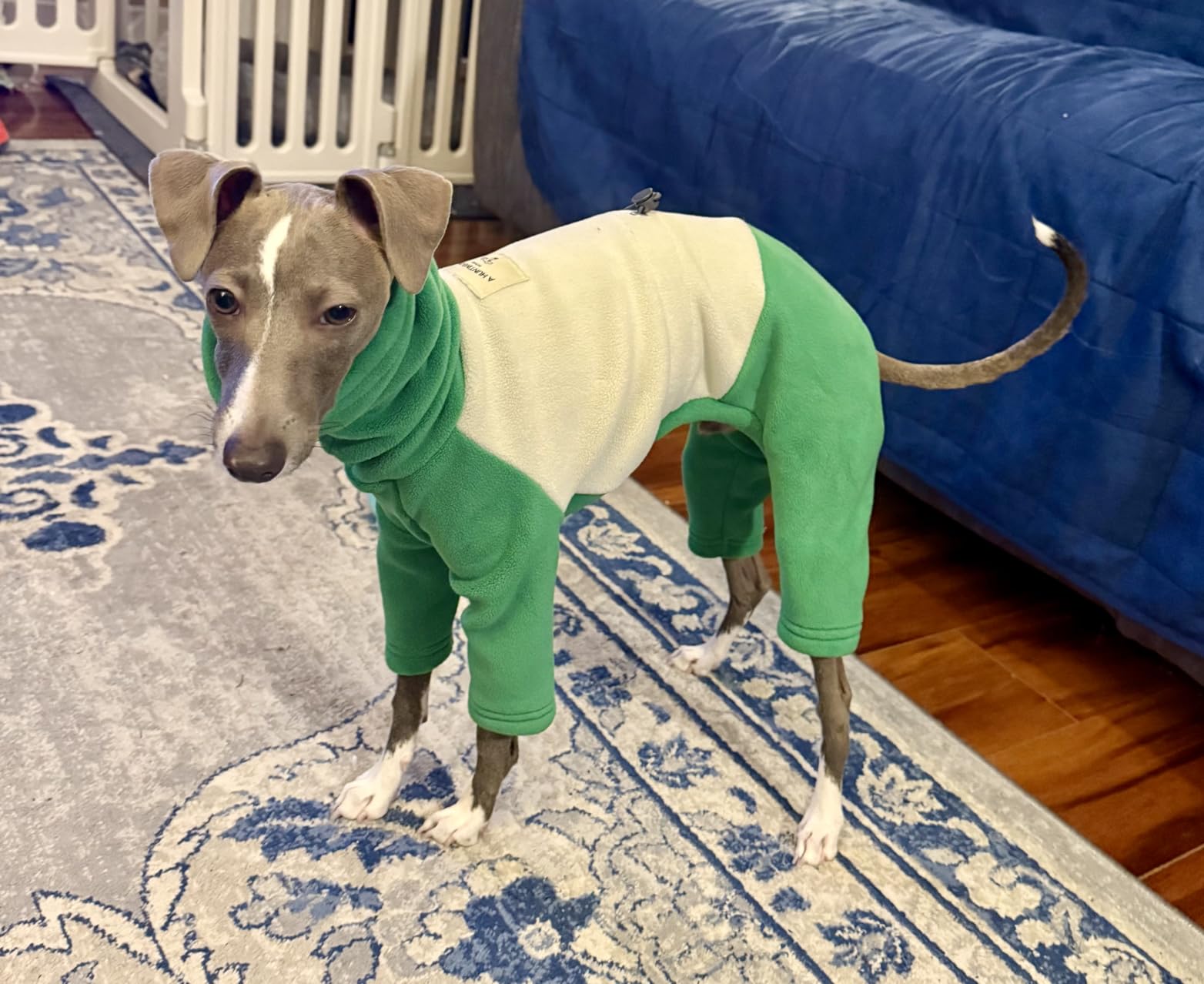 Italian Greyhound Winter Coat Sweater Warm Fleece Dog Jacket Jumpsuit Fullbody Windproof Dog Pullover Shirt Pajamas Onesie Cold Weather Whippet Clothes for Small Medium Dogs customer photo 1