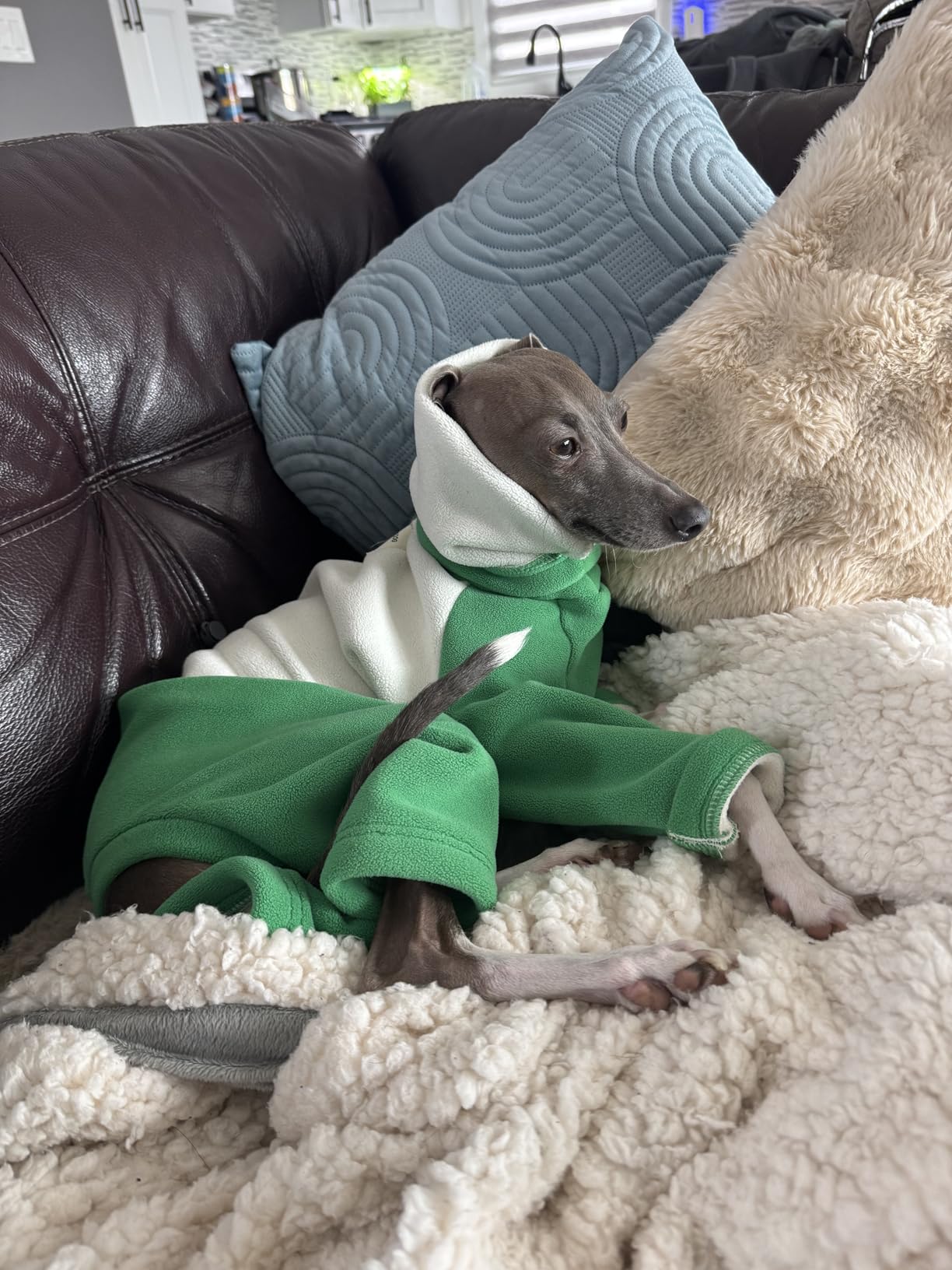 Italian Greyhound Winter Coat Sweater Warm Fleece Dog Jacket Jumpsuit Fullbody Windproof Dog Pullover Shirt Pajamas Onesie Cold Weather Whippet Clothes for Small Medium Dogs customer photo 2