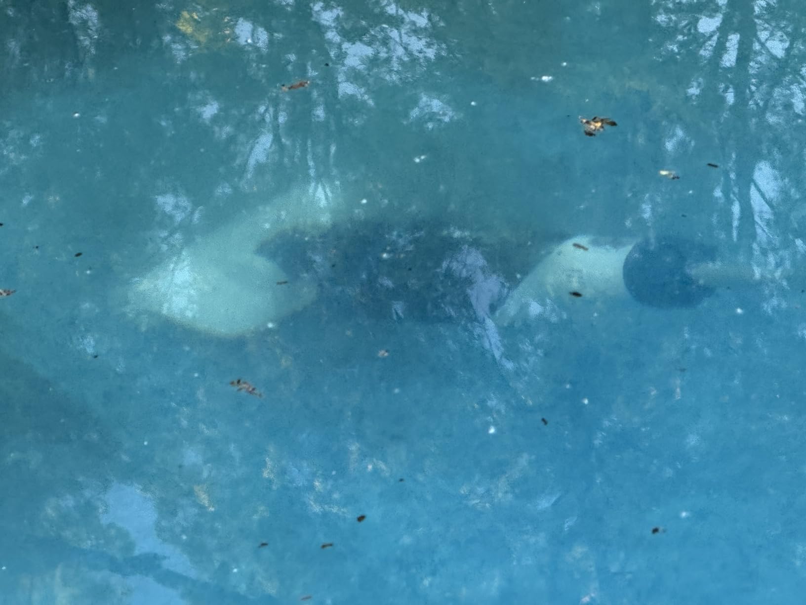 Enhulk PC15 Pool Vacuum, Upgraded 13.4