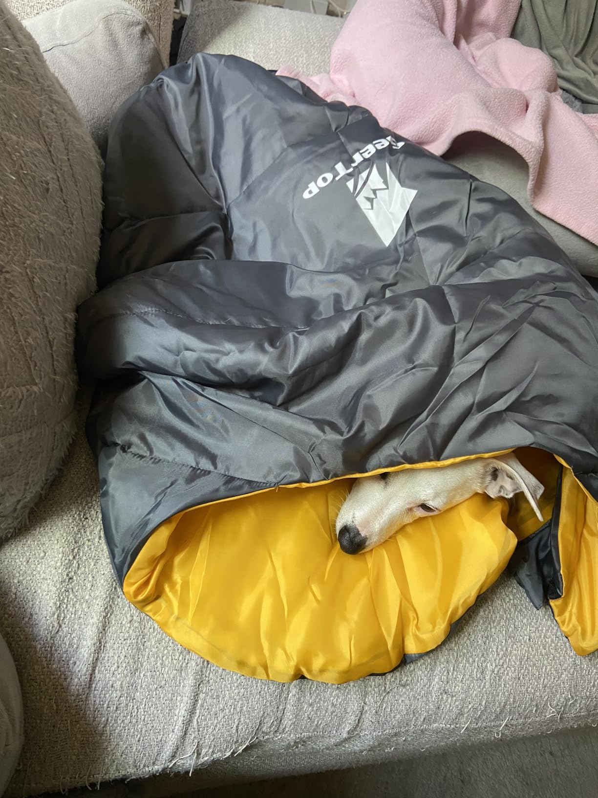 GEERTOP Lightweight Dog Sleeping Bag Portable Cozy Durable Machine Washable Pet Bed for Camping, Hiking Travel customer photo 2