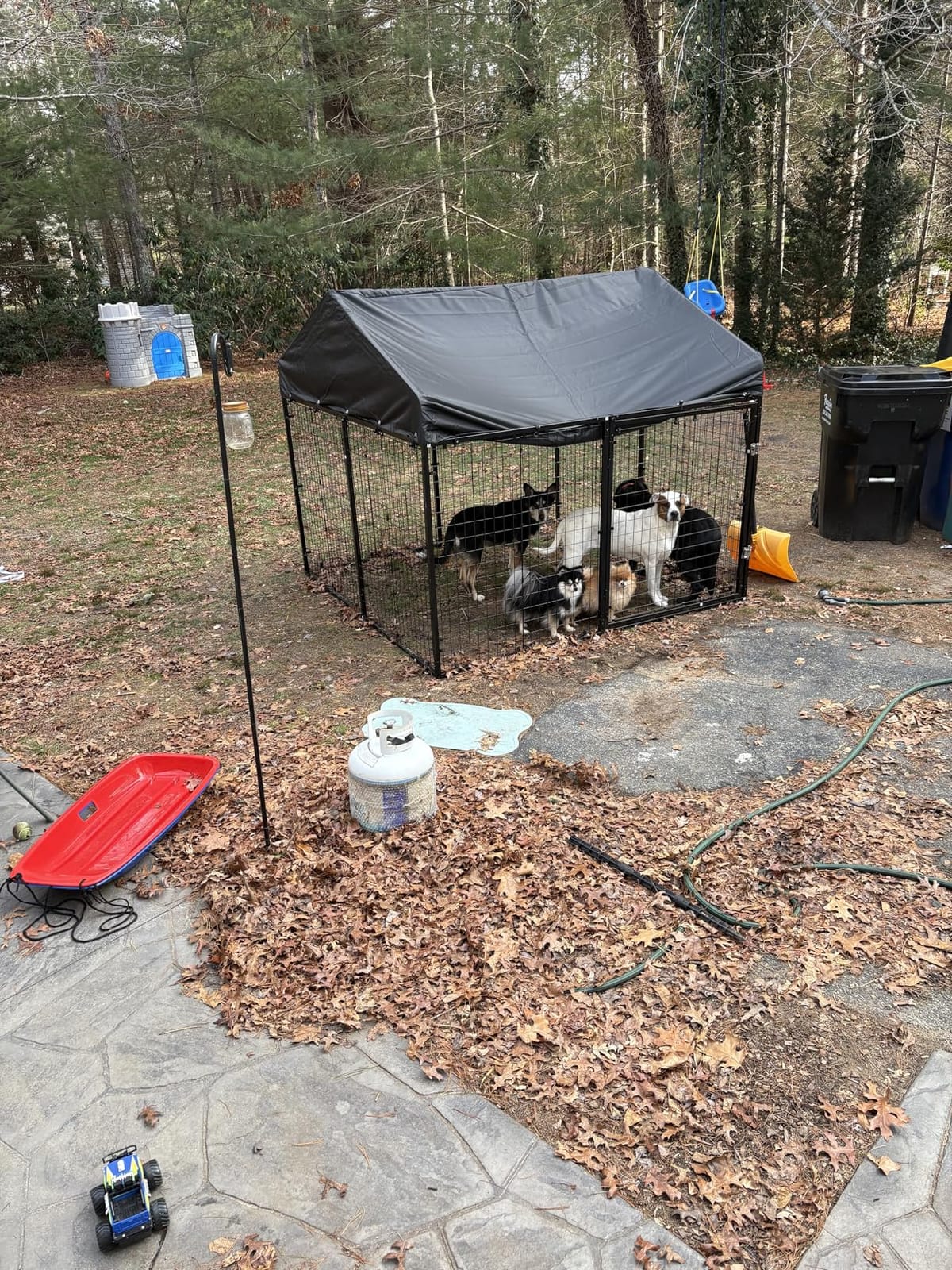 Petony Large Outdoor Dog Enclosure,Heavy Duty Dog Cage with Roof,Galvanized Steel Dog Kennel Fence with Double Safety Locks(79”W x 79”D) customer photo 1