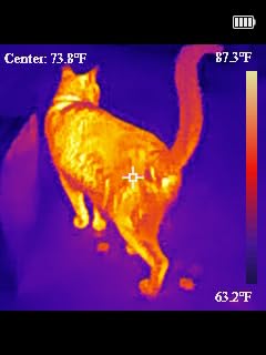 H128 Handheld Thermal Camera, 240 x 240 TISR Resolution, 24h Battery Life Thermal Imaging Camera, 25 Hz Infrared Camera with Temperature Alarm, -4℉~ 842℉ Temp Range, IP65 Protection Level customer photo 2