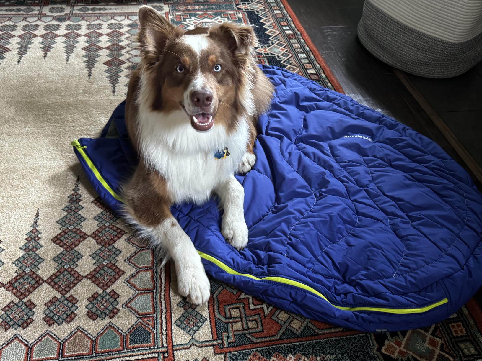 Ruffwear, Highlands Dog Sleeping Bag, Huckleberry Blue, Medium | Easy to Clean, Soft Insulated Comfort, Non-Slip Waterproof Base, Portable & Packable Dog Bed for Camping, Hiking & Travel customer photo 2