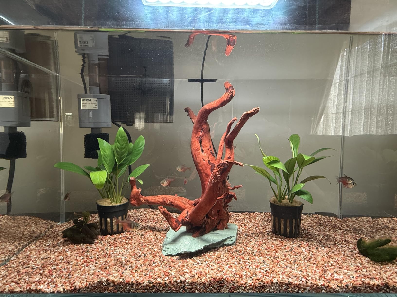 Vimvins 3 Gallon Glass Small Fish Tank, Betta Fish Tank Starter Kit with Filter, Lights,Lid. customer photo 1