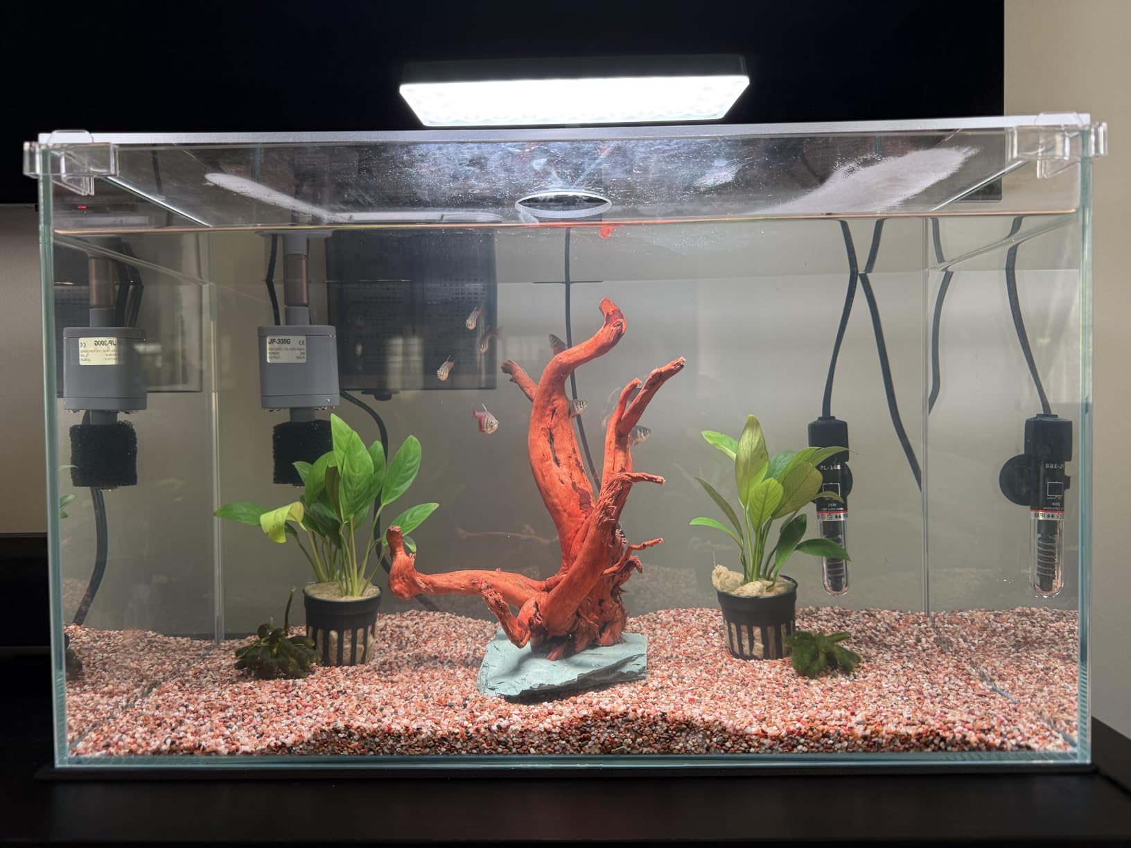 Vimvins 3 Gallon Glass Small Fish Tank, Betta Fish Tank Starter Kit with Filter, Lights,Lid. customer photo 2