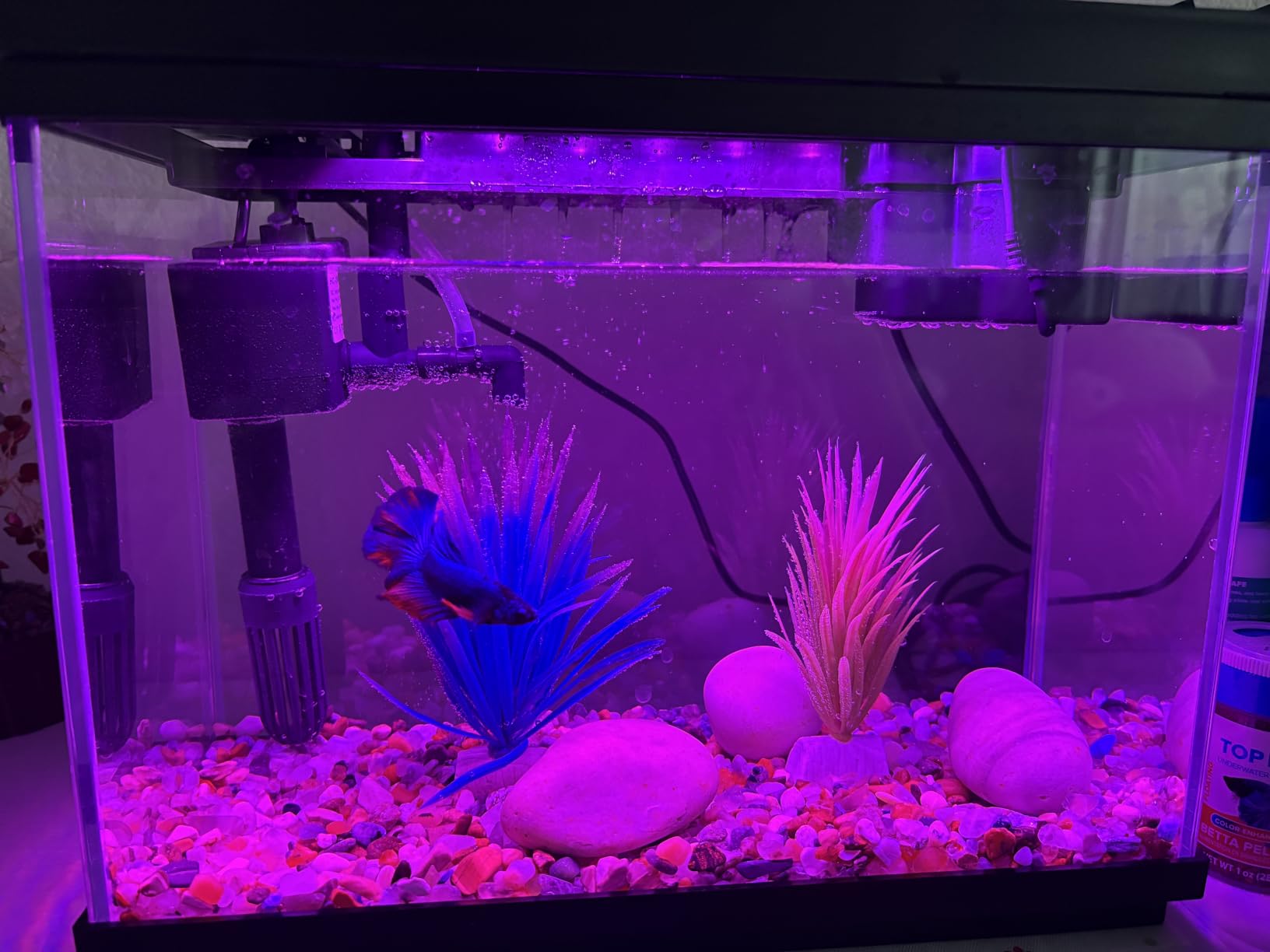 Vehipa Fish Tank, 2.4-Gallon Aquarium Starter Kit with 3-in-1 Quiet Pump customer photo 2