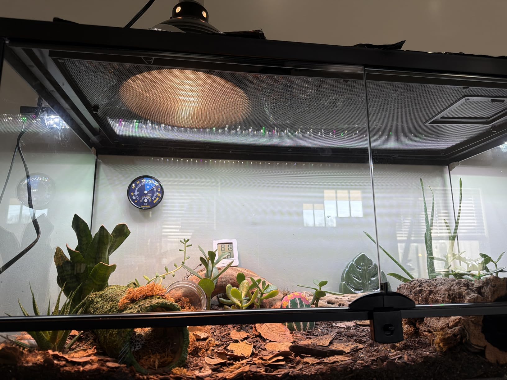 SEAOURA WRB LED Aquarium Light with Timer for 18-24in Freshwater Fish Tank customer photo 1