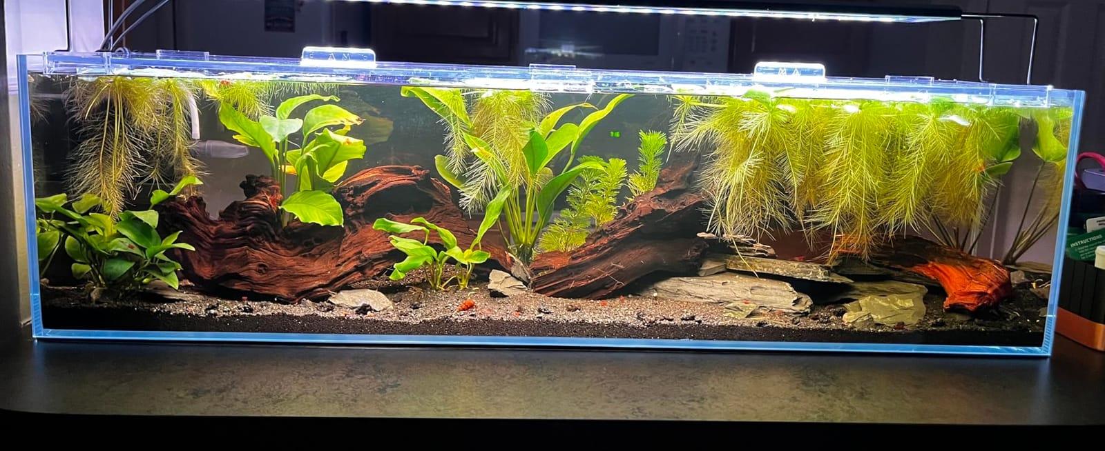 SEAOURA WRGB Programmable Aquarium Light for 36-42in Fish Tank customer photo 1