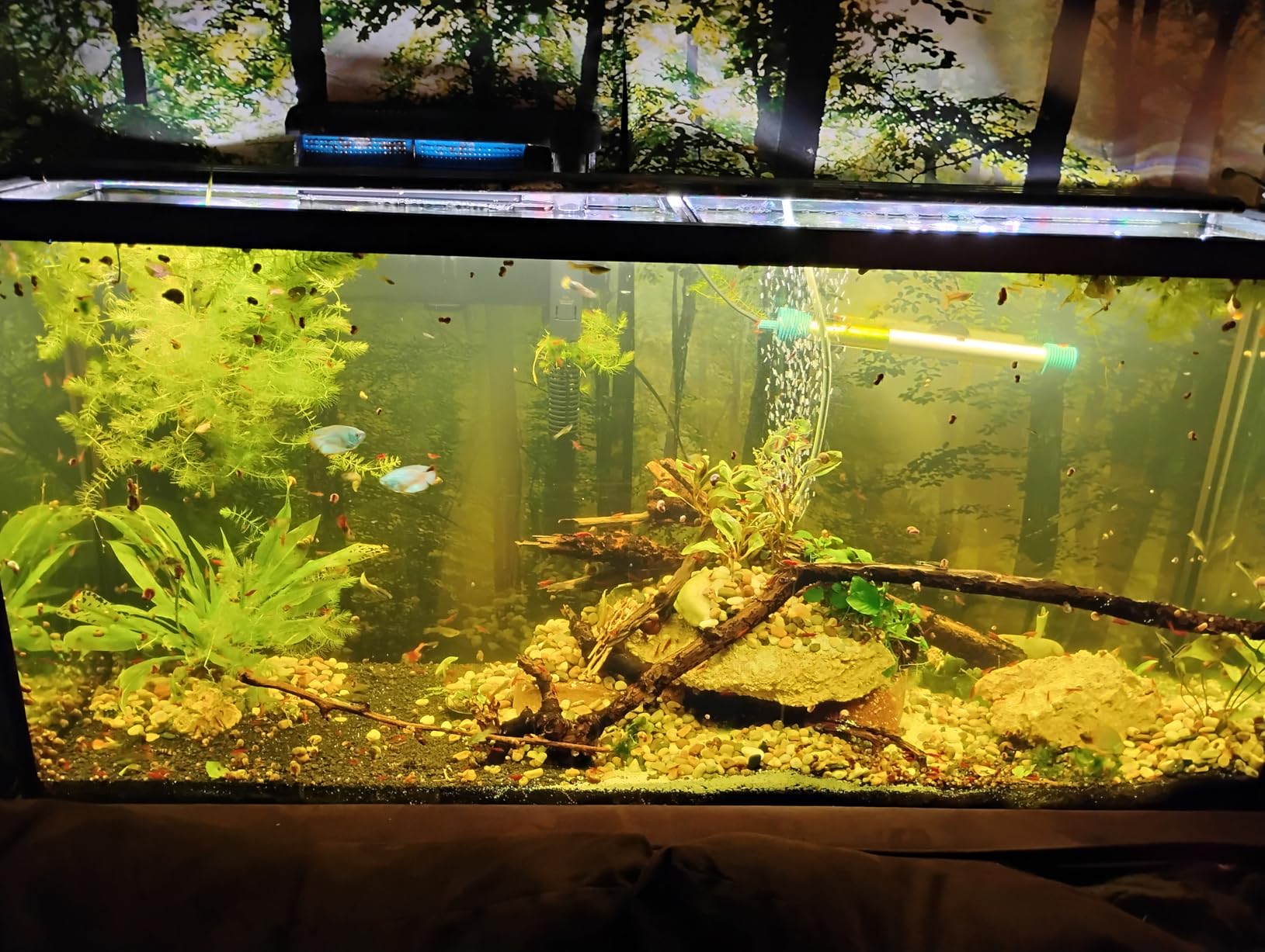 SEAOURA WRGB Programmable Aquarium Light for 36-42in Fish Tank customer photo 2