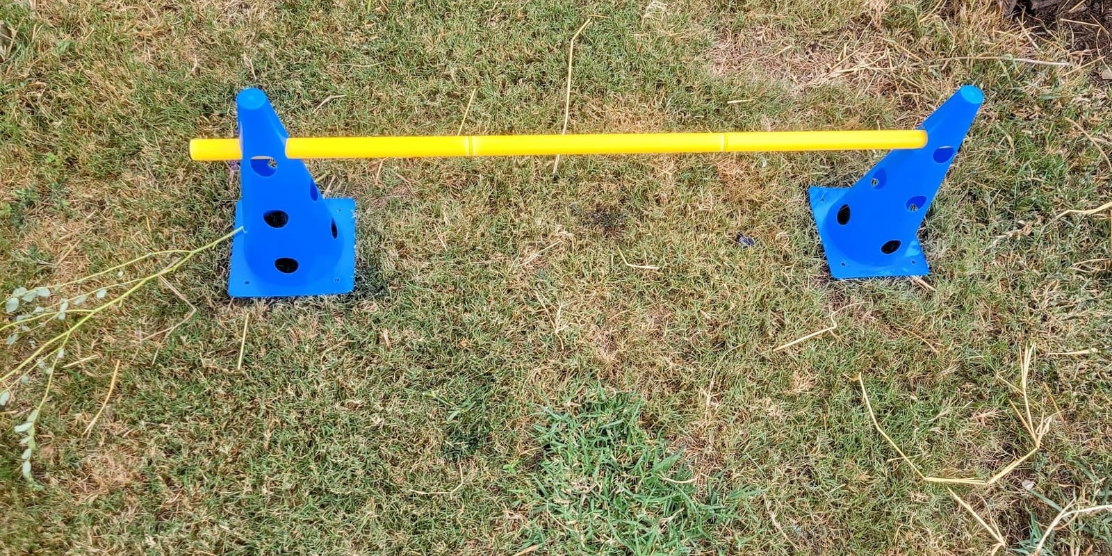 Dog Agility Course Backyard Set, Dog Agility Hurdle Cone Set | w/ Height Adjustable Crossbar for Rehabilitation & Beginners, Dog Agility Equipment for Dog Obstacle Course - 18 Inch customer photo 2