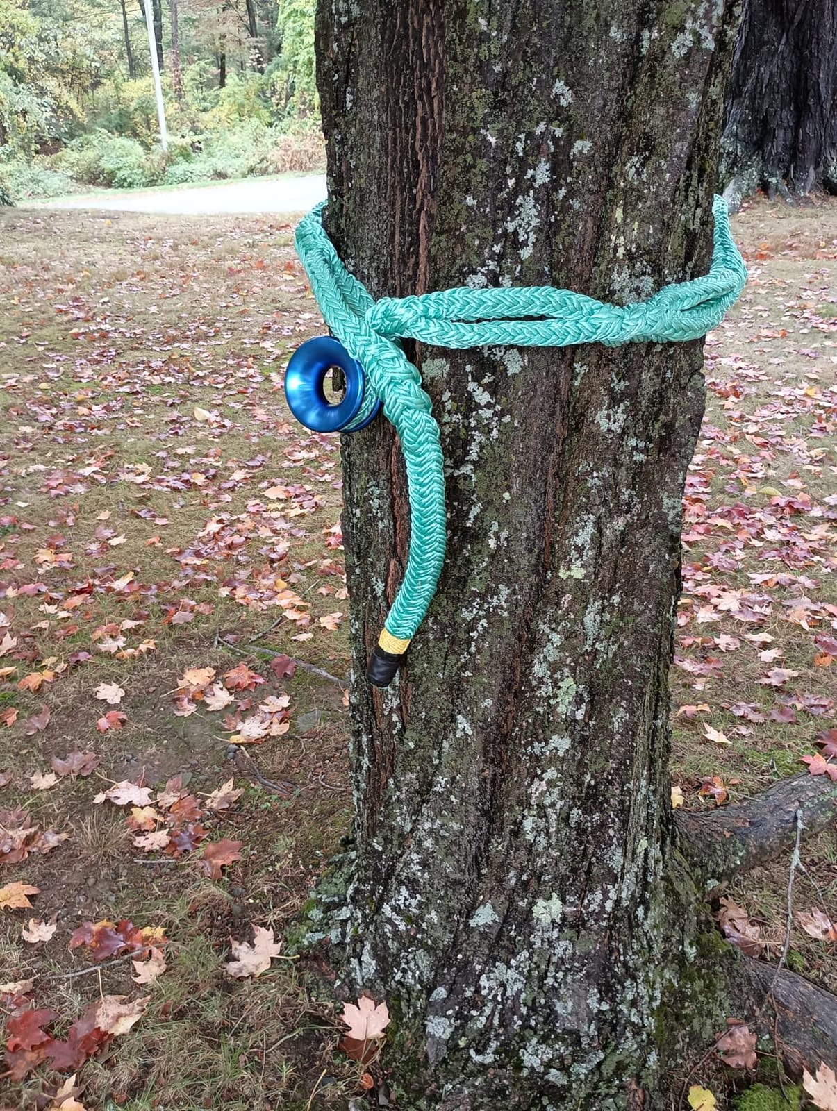 Rigging Ring Sling Rope for tree , 3/4