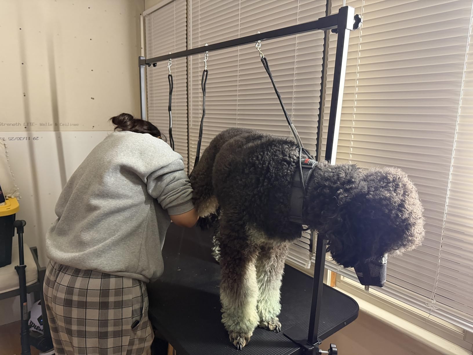 Garvee 43.3'' Hydraulic Dog Grooming Table with Max 350 LBS Loading Capacity | Adjustable Height Range 22-39 in, 3 Adjustable Nooses, Professional Pet Grooming Table, Home Use, Heavy Duty, Black customer photo 1