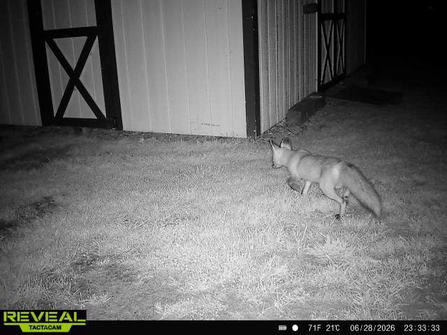 TACTACAM Reveal X 3.0 2-Pack Cellular Trail Camera customer photo 1