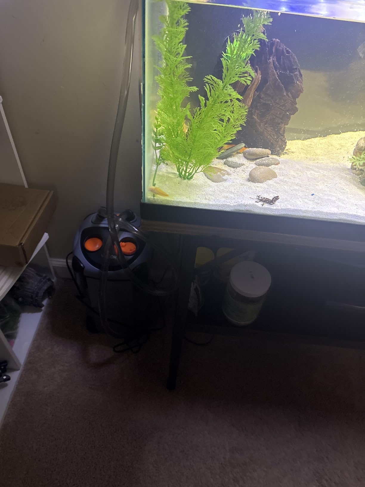 VEVOR 224.5GPH Canister Filter, 3-Stage External Aquarium Filter with Powerful Pump, Quite Water Circulation Cleaning Machine with Media for Fish Tanks and Aquariums Up to 55 Gallons, for Freshwater customer photo 2