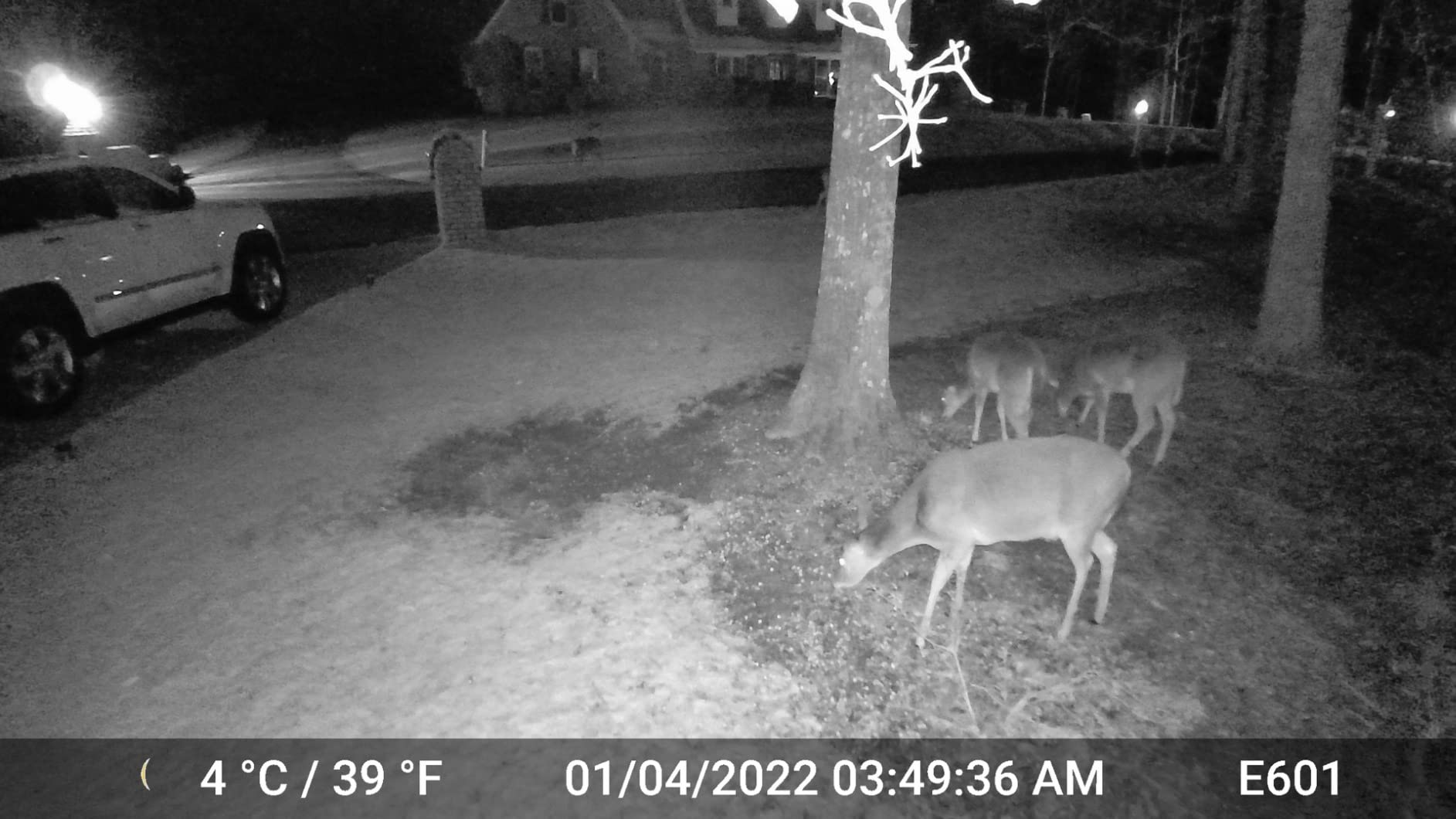 GardePro E6 2.0 WiFi Trail Camera, 4K Video, Dual Antennas customer photo 1