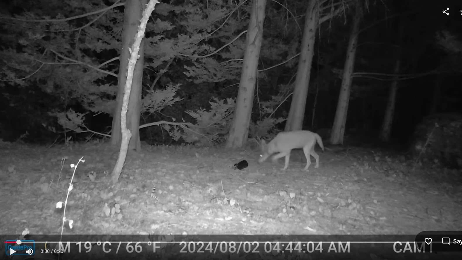 GardePro E6 2.0 WiFi Trail Camera, 4K Video, Dual Antennas customer photo 2