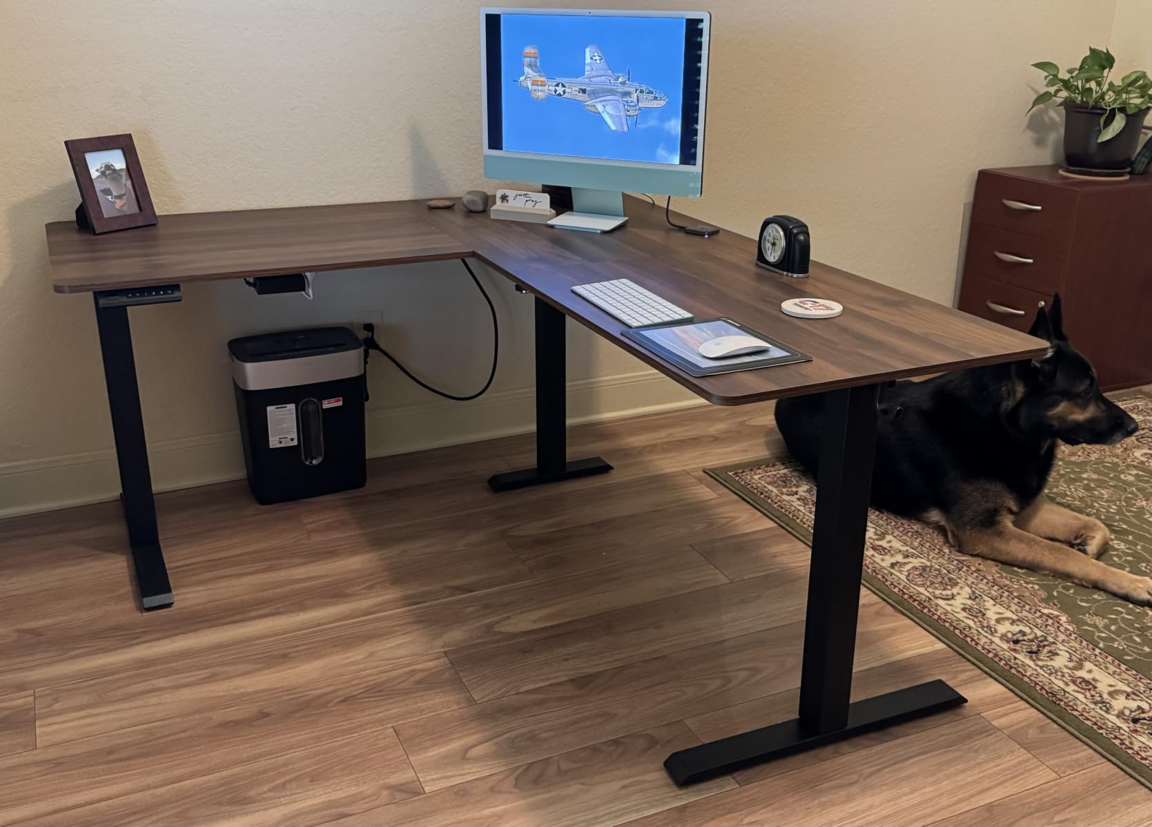 Cubiker Reversible L Shaped Standing Desk - 63 x 55 Inch Electric Adjustable Height Corner Standing Desk, Ergonomic Sit Stand Up Table with 3 Memory Buttons, Splice Board for Home Office, Black Walnut customer photo 1