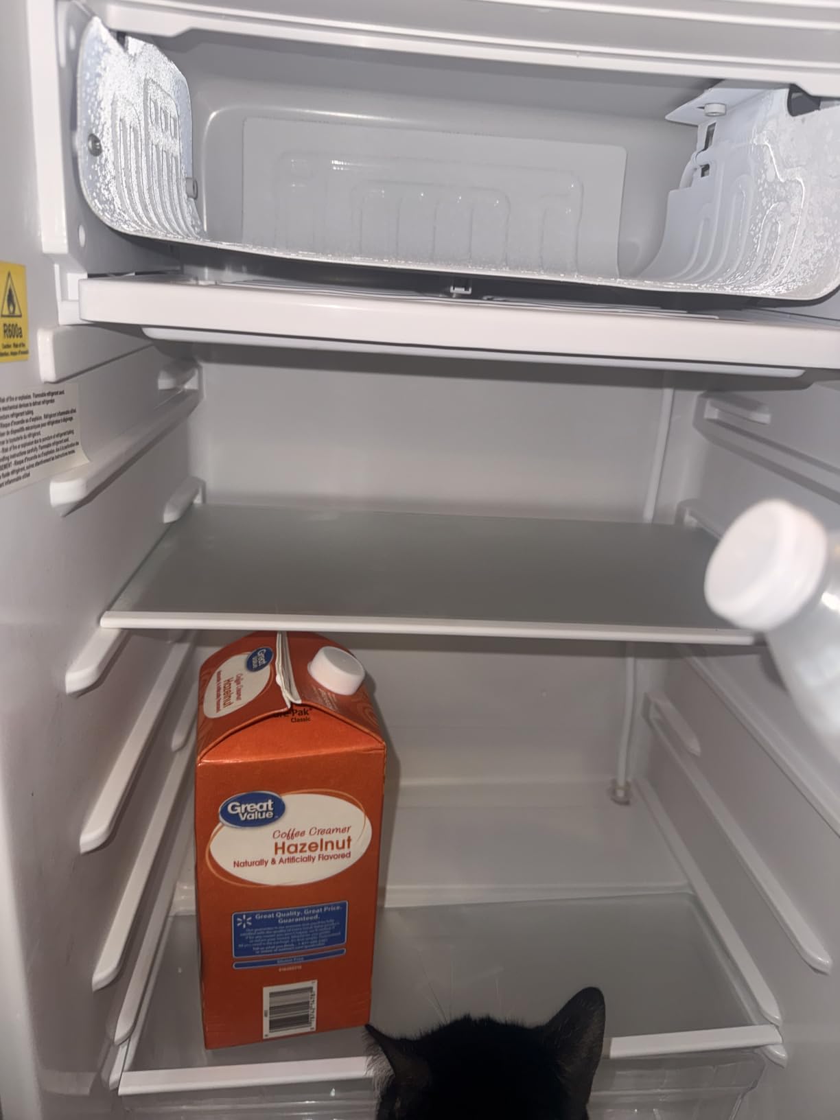 3.2 Cu Ft Mini Fridge with Freezer, Double Door Upright Freezer customer photo 2