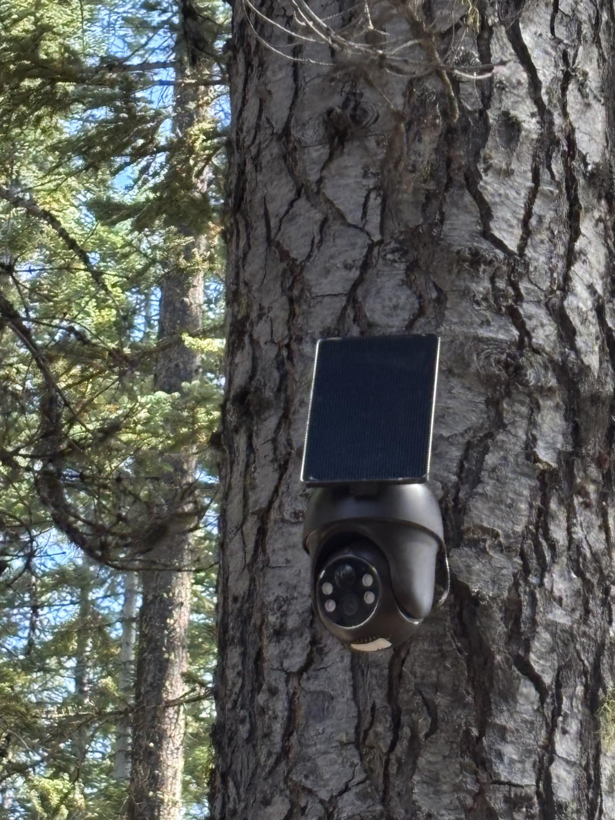 ANSQUE Home Security Cameras Wireless Outdoor, Solar Powered, 6-Cam System customer photo 1