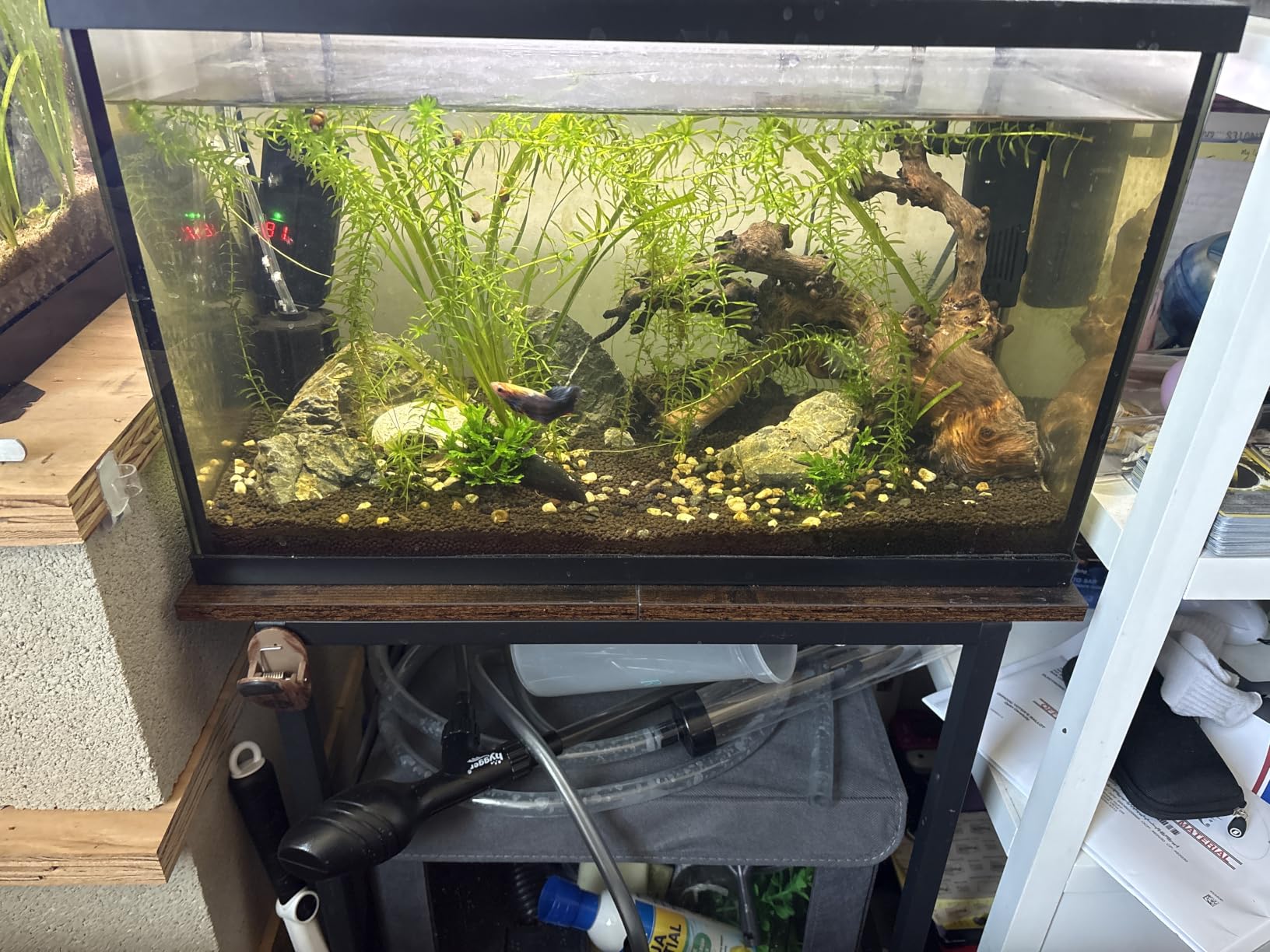 Snughome 40 Gallon Fish Tank Stand, Heavy Duty Metal Aquarium Stand with Storage Shelves, 660LBS Capacity Double Aquarium Stand Holds 20-40 Gallon, Reptile Terrarium Stand for Home Office customer photo 1
