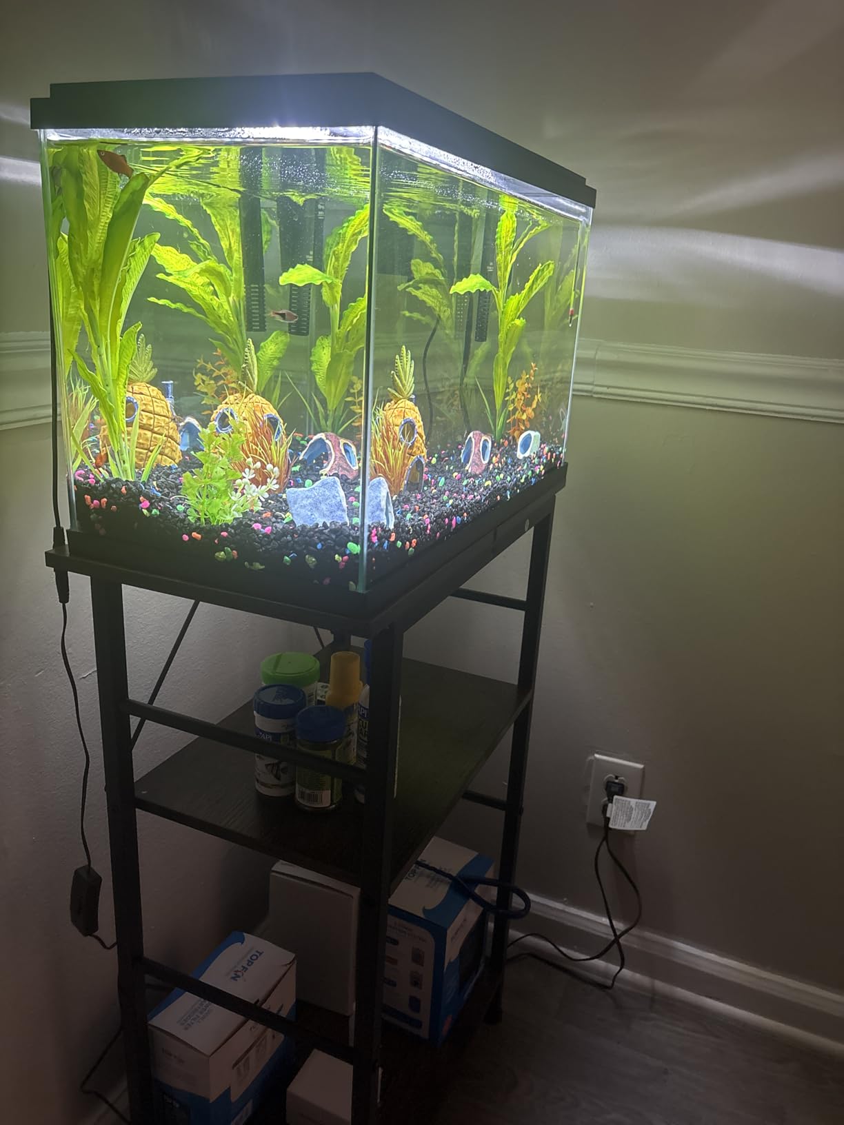 Snughome 40 Gallon Fish Tank Stand, Heavy Duty Metal Aquarium Stand with Storage Shelves, 660LBS Capacity Double Aquarium Stand Holds 20-40 Gallon, Reptile Terrarium Stand for Home Office customer photo 2