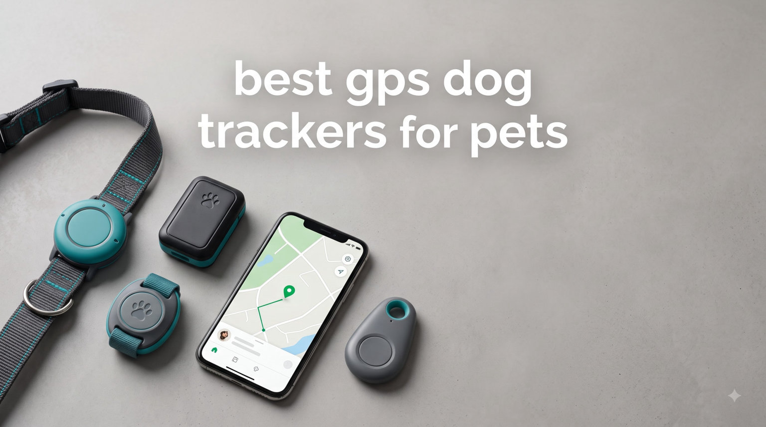 best gps dog trackers for pets