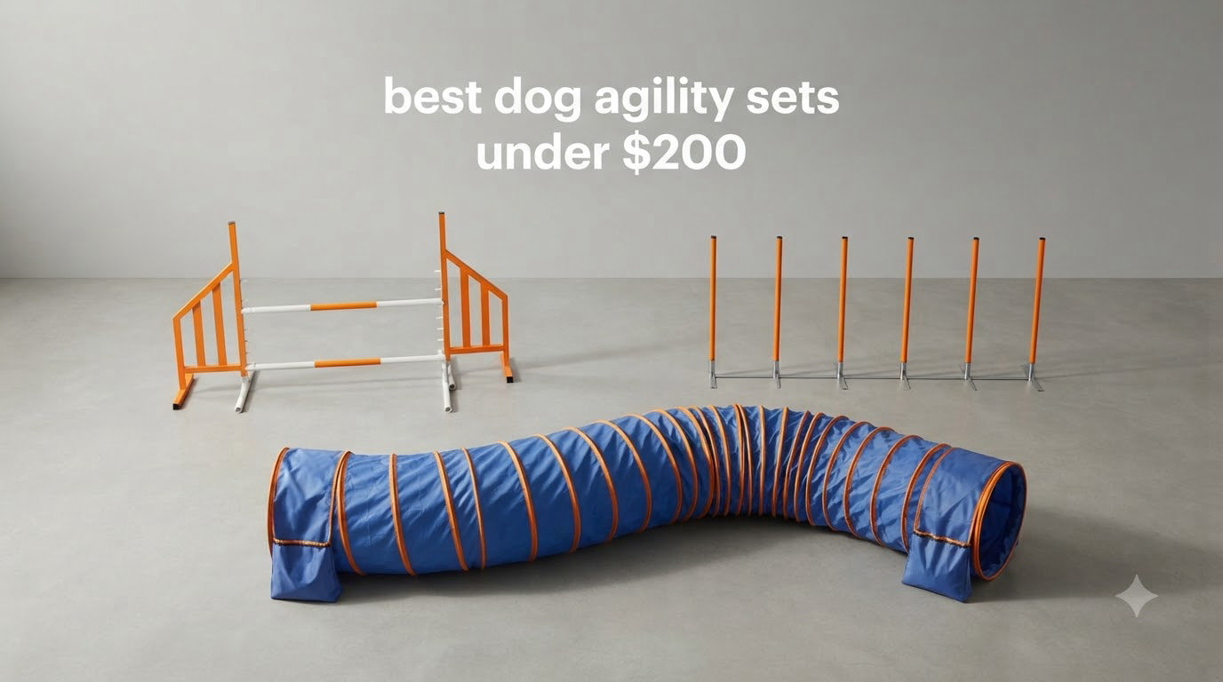 best dog agility sets under $200