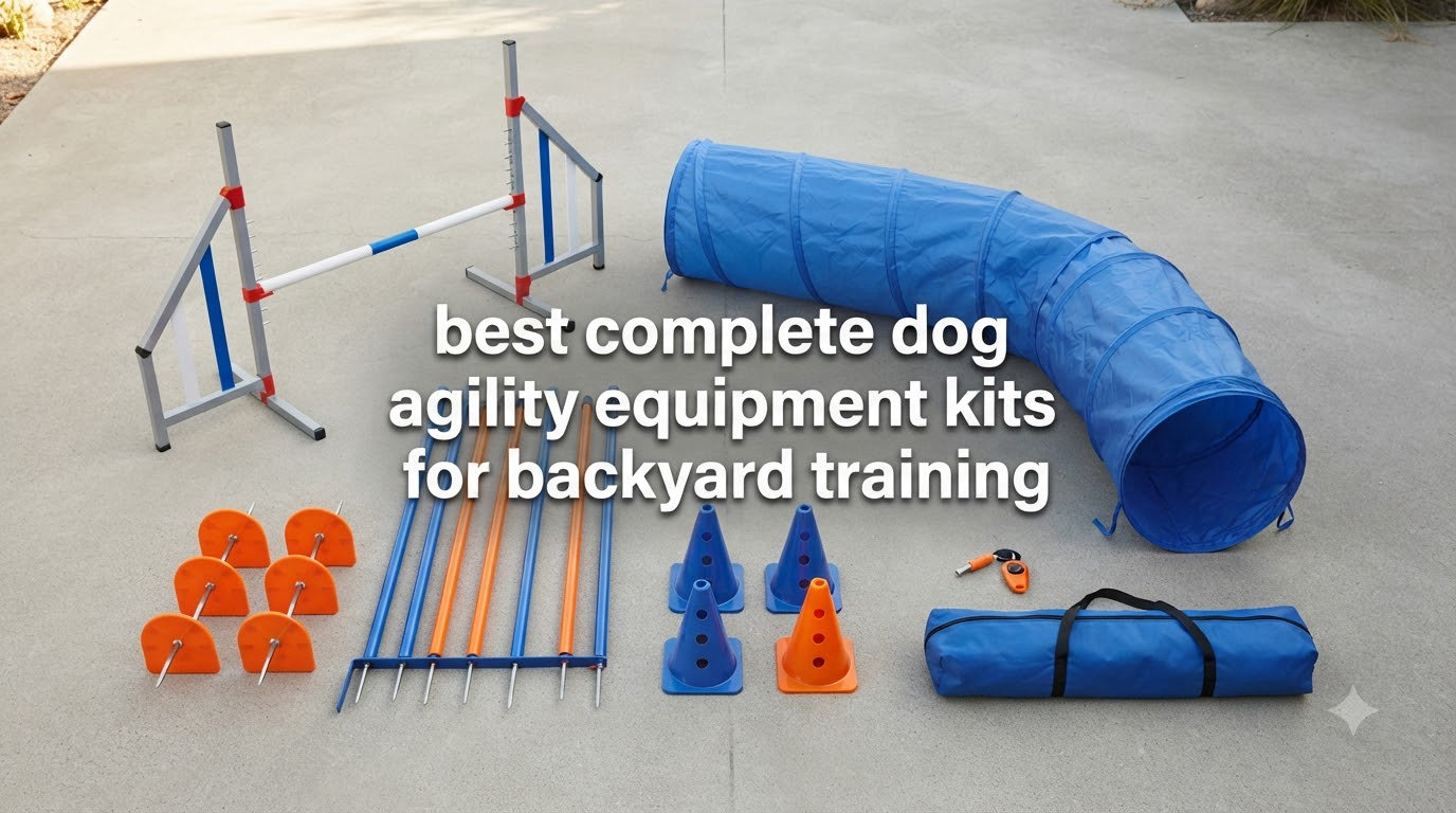 best complete dog agility equipment kits for backyard training