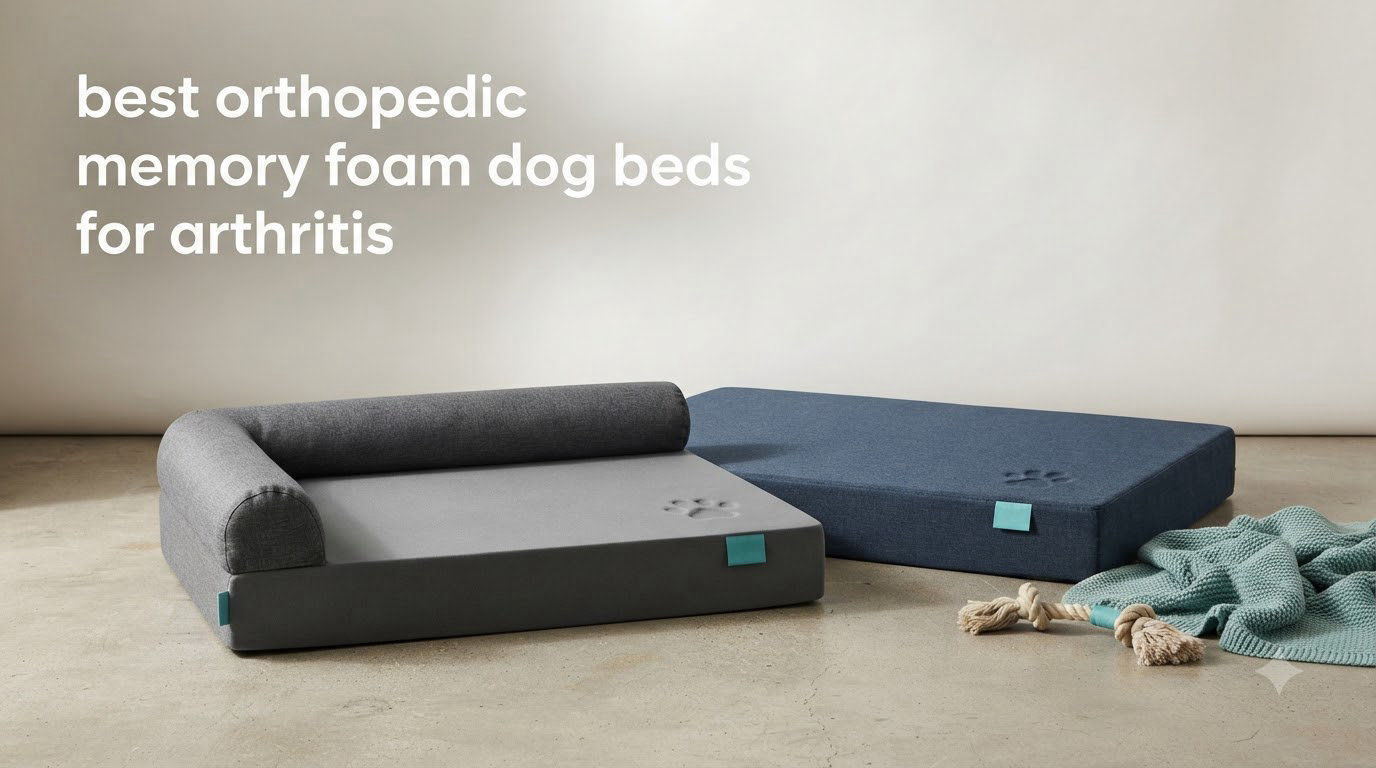 best orthopedic memory foam dog beds for arthritis