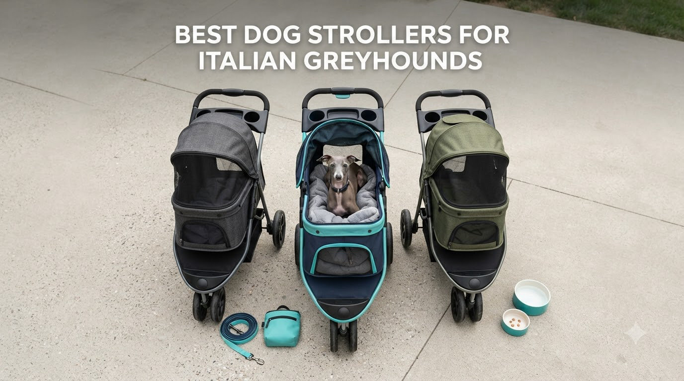 best dog strollers for italian greyhounds