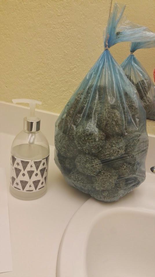 Dr. Elsey's Clumping Litter customer photo 1