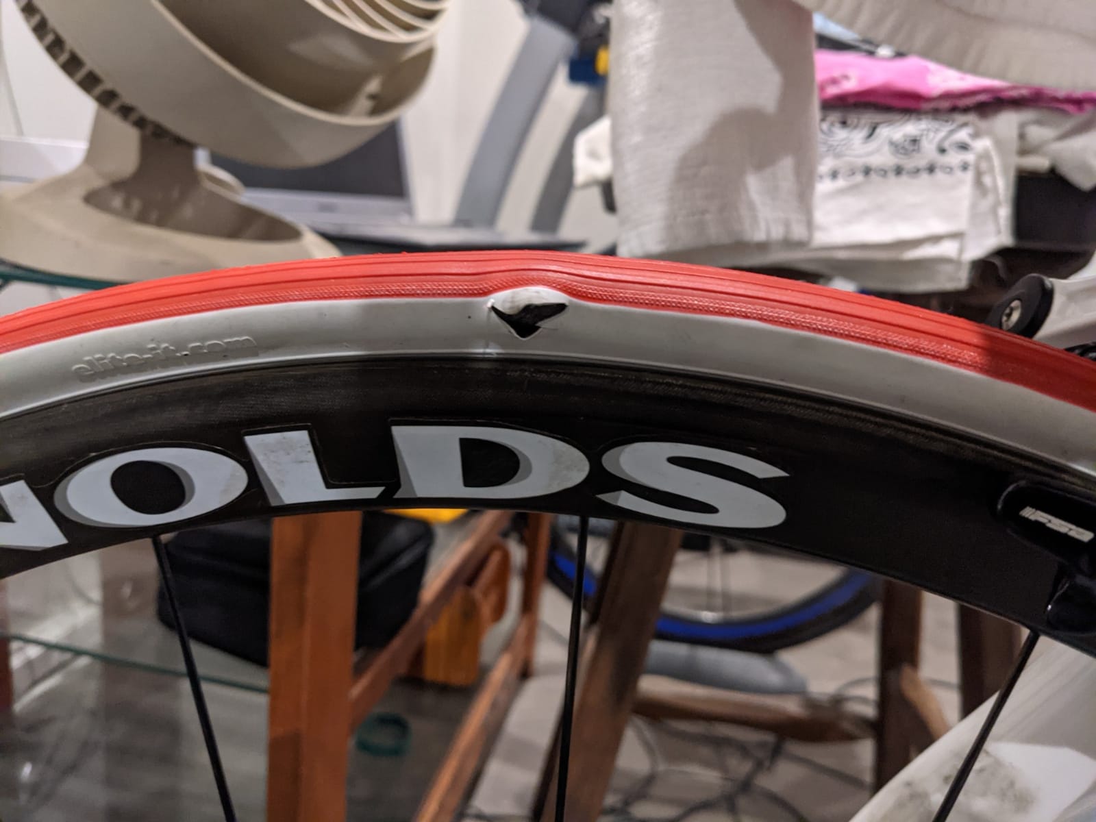Elite Coperton Trainer Specific Tire customer photo 2