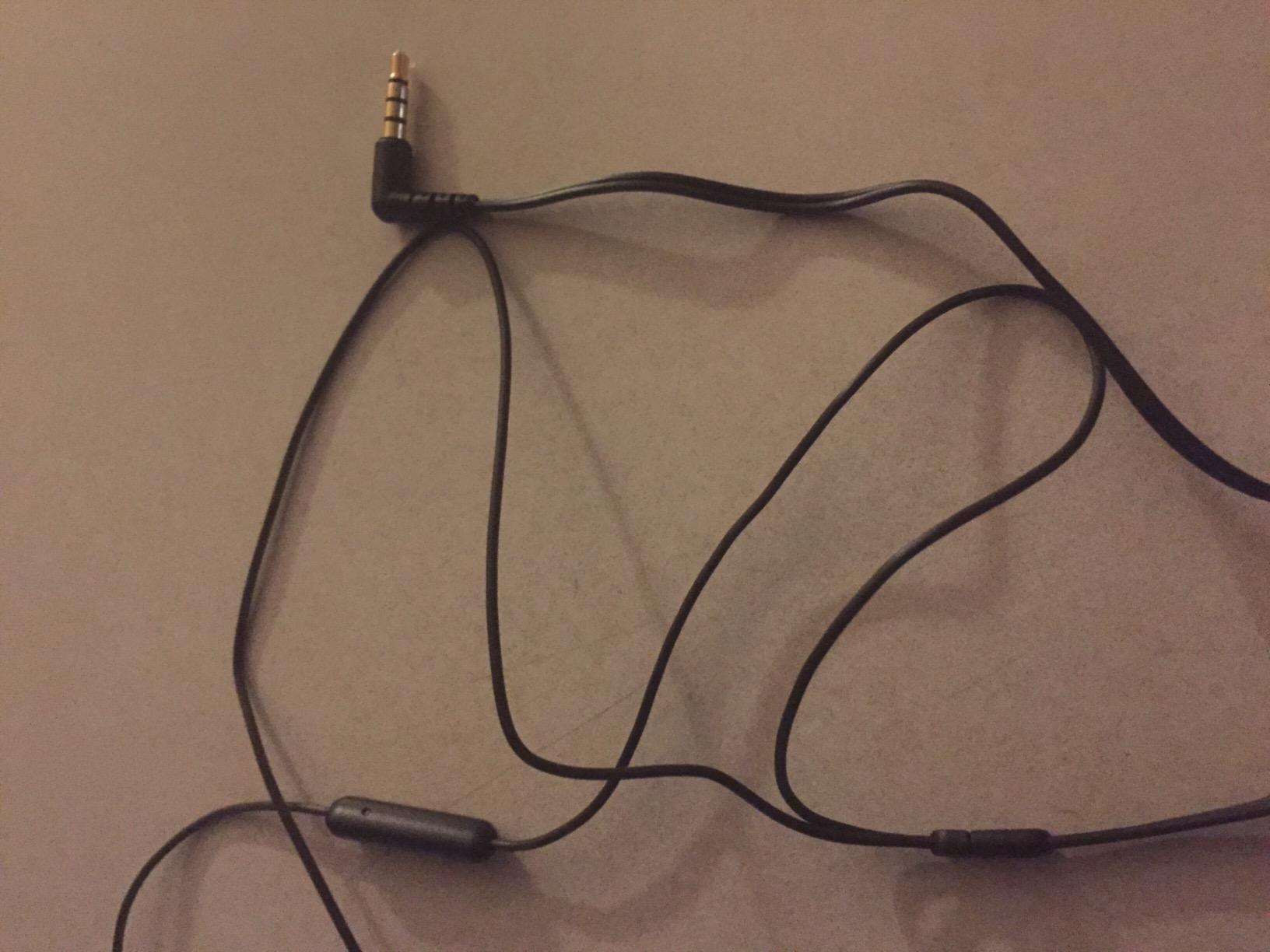Sony MDREX100APL In-Ear Headphones Earbuds (Blue) customer photo 2