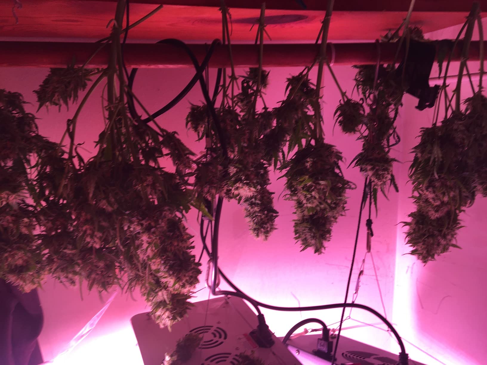 GH General Hydroponics Flora Series: FloraGro, FloraBloom, FloraMicro 16oz customer photo 2