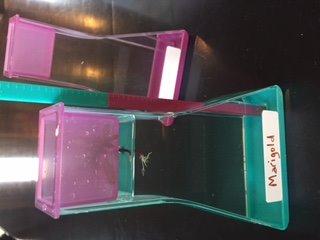 Educational Insights Nancy B's Science Club Way to Grow Hydroponics Kit customer photo 2